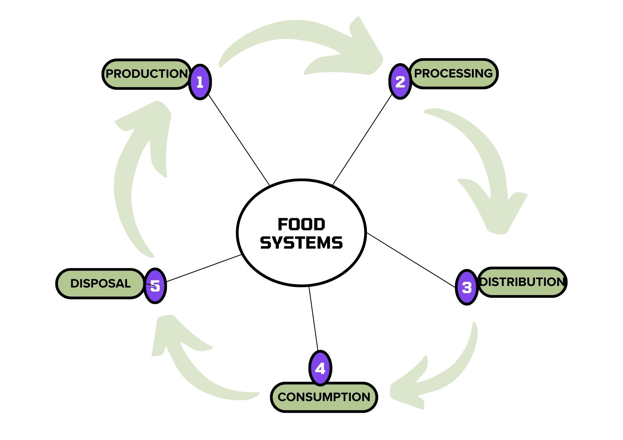 Components of a food system in a cycle: Production, Processing, Distribution, Consumption, Disposal